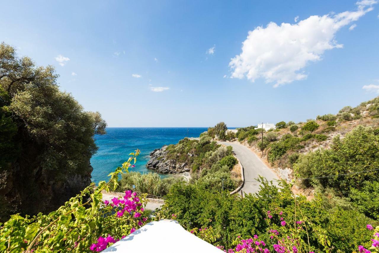 Fotinari Mare Villa Plakias Bagian luar foto